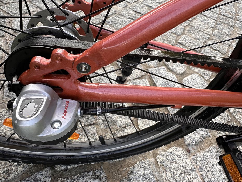 Rower Bungi 24 - pasek