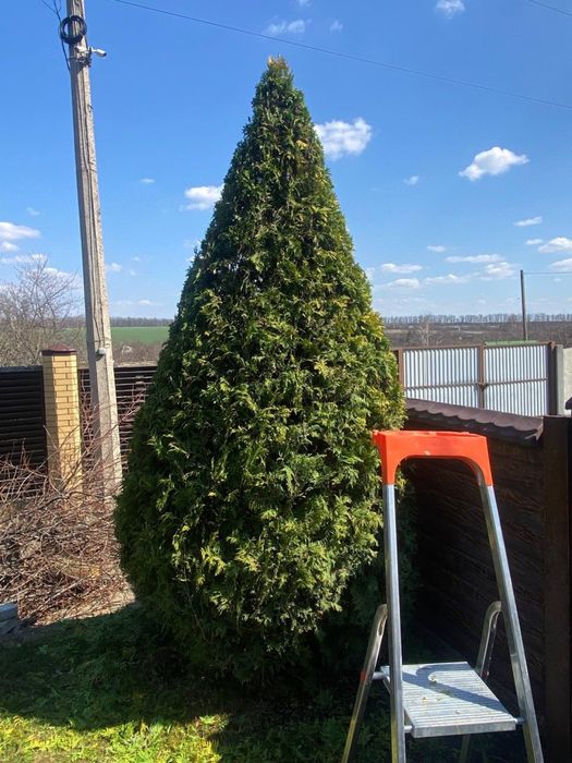 Ландшафтний дизайн,Садівник Крюківщина,Гатне,Вішенки,Гнедин