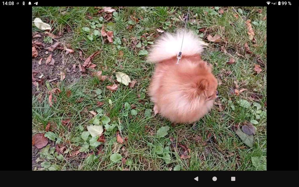 Мини девочка!  КСУ