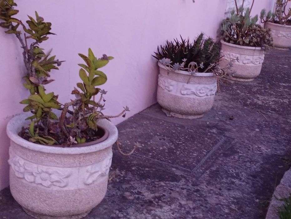 Vaso de pedra para jardim