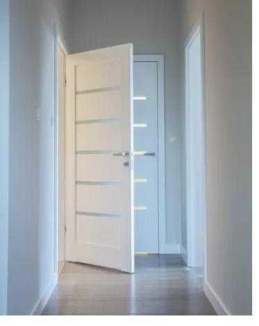 nowoczesne drzwi pokojowe wewnętrzne ramowe do mieszkań domów