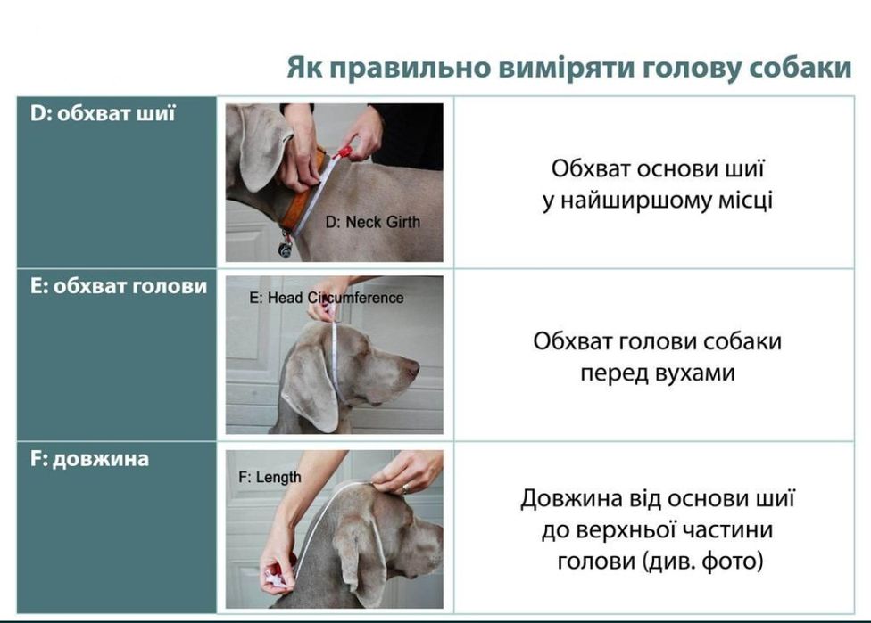 Снуд (шапка)для собаки