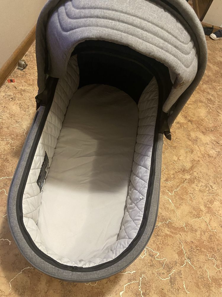 Коляска carello 2 в 1