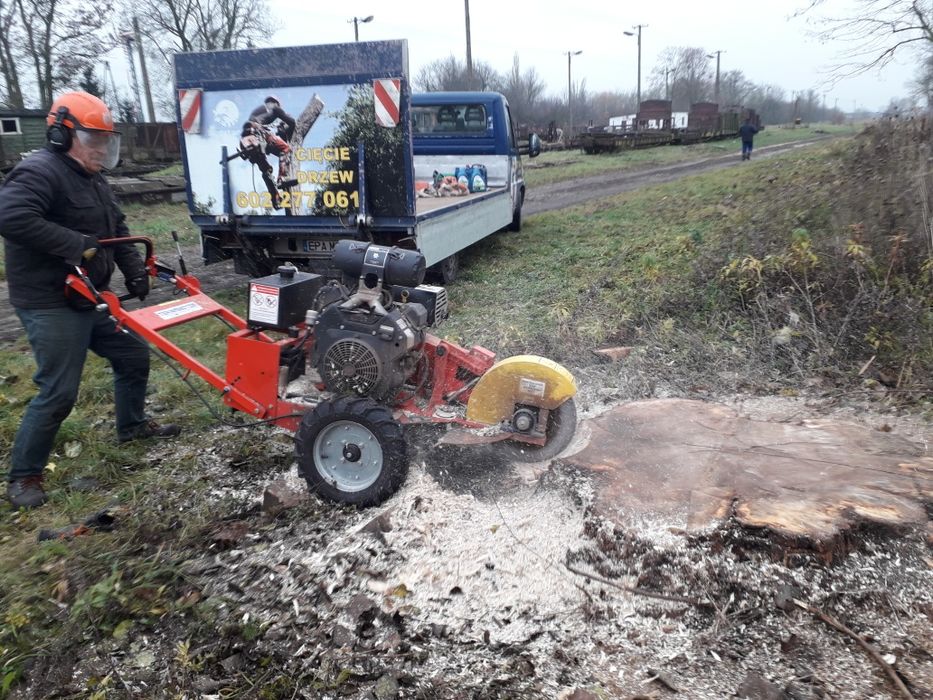 Drzewo drewn kominkowe opałowe Pabianice Łódź Rzgów Tuszyn Ksawerów