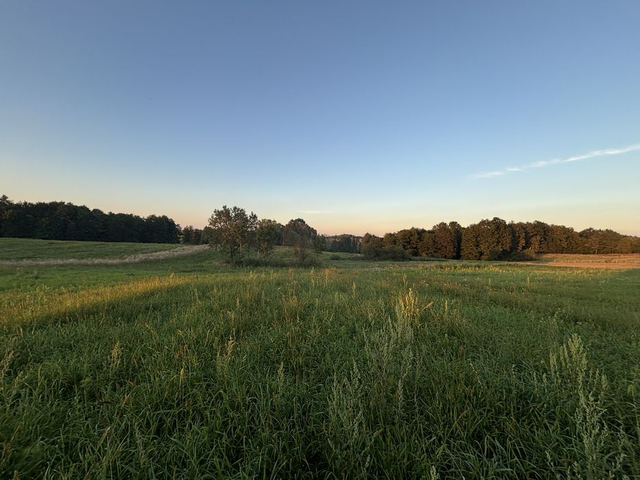 Dzialka z linią brzegową rzeczki