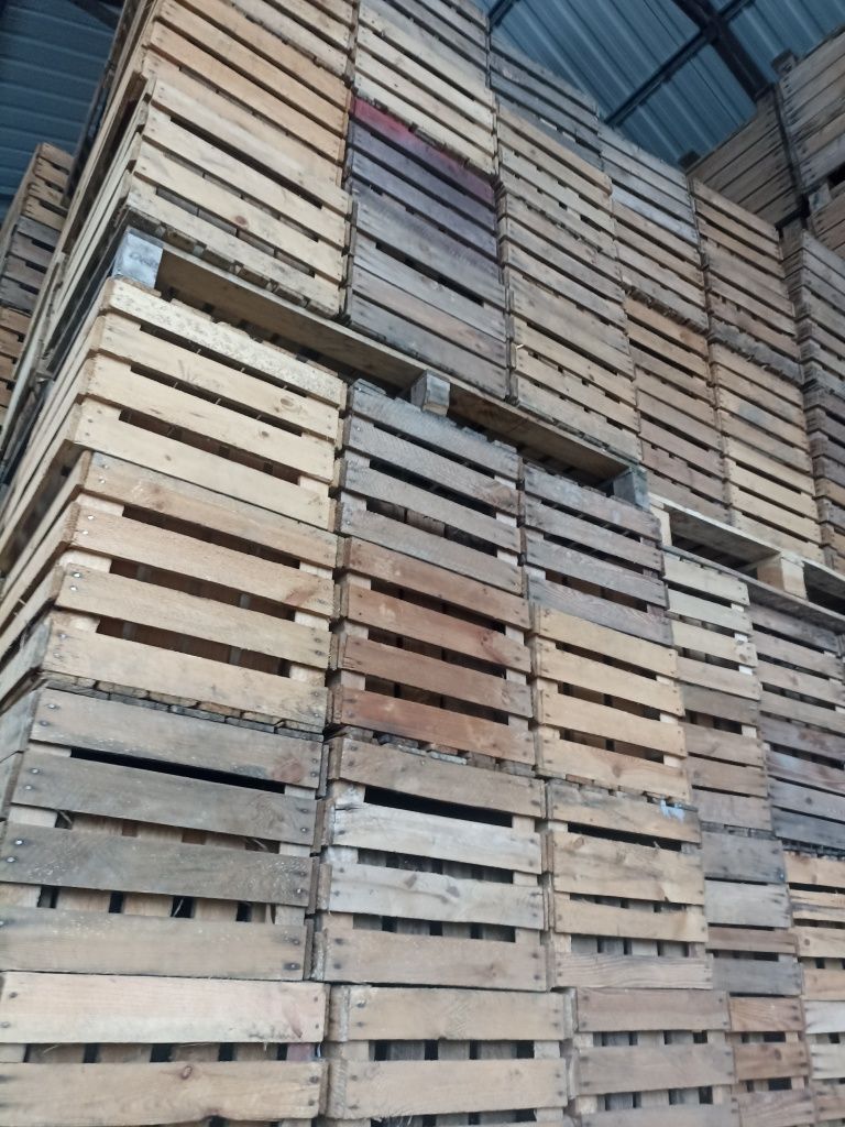 Skrzynki jedynki