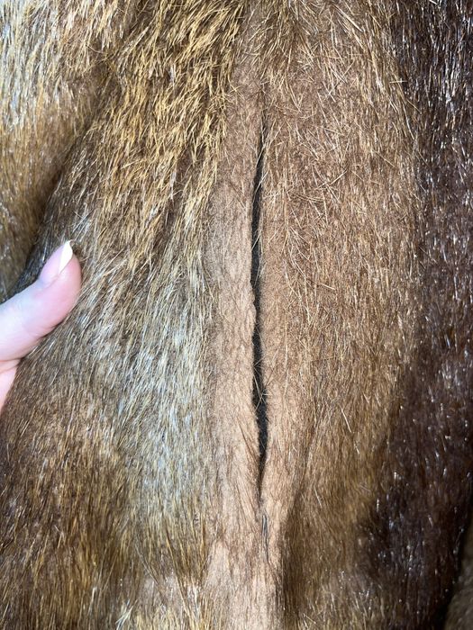 Шуба нутриевая с воротником