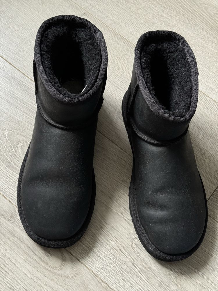 Australia Ugg женские