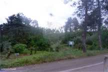 Terreno em Estradinha, Santiago da Guarda
