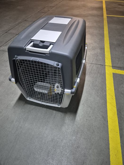 Transportadora para cão