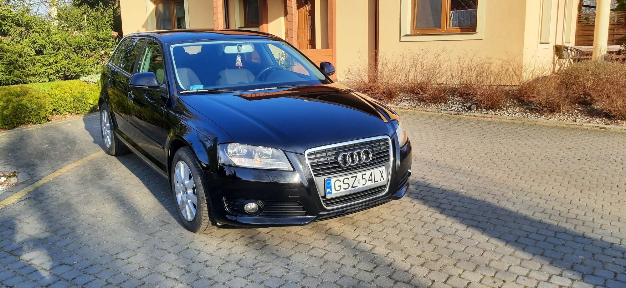 Audi A3 8P 1,9 TDi 105 KM