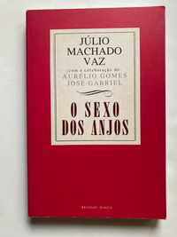 Livro “ O Sexo dos Anjos “ , de Júlio Machado Vaz