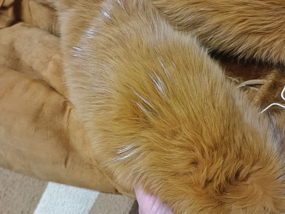 Коротка дублянка