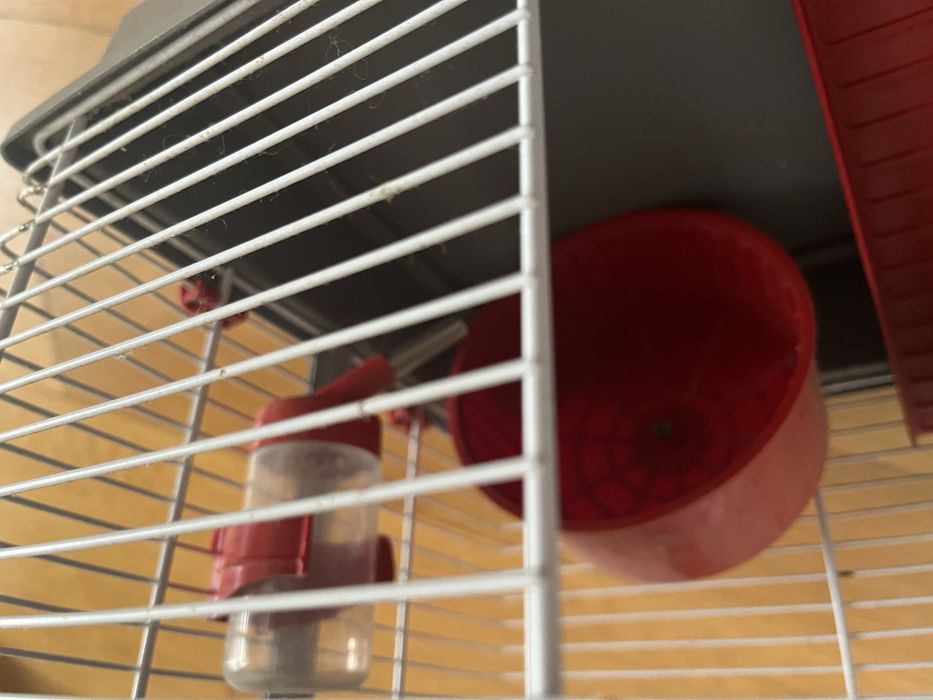 Gaiola para hamster com acessórios de oferta!