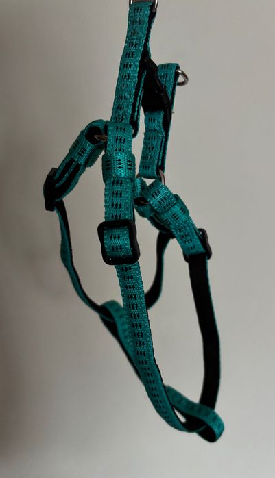 Szelki dla psa Nobby