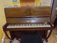 pianino    pianino