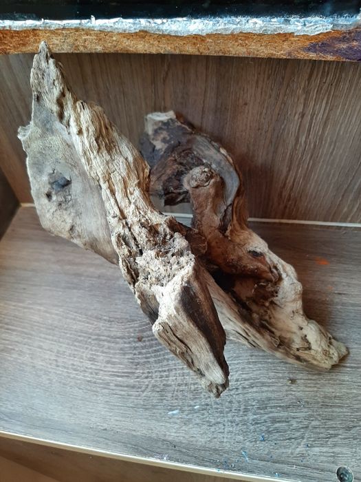 Продам коряжку в аквариум