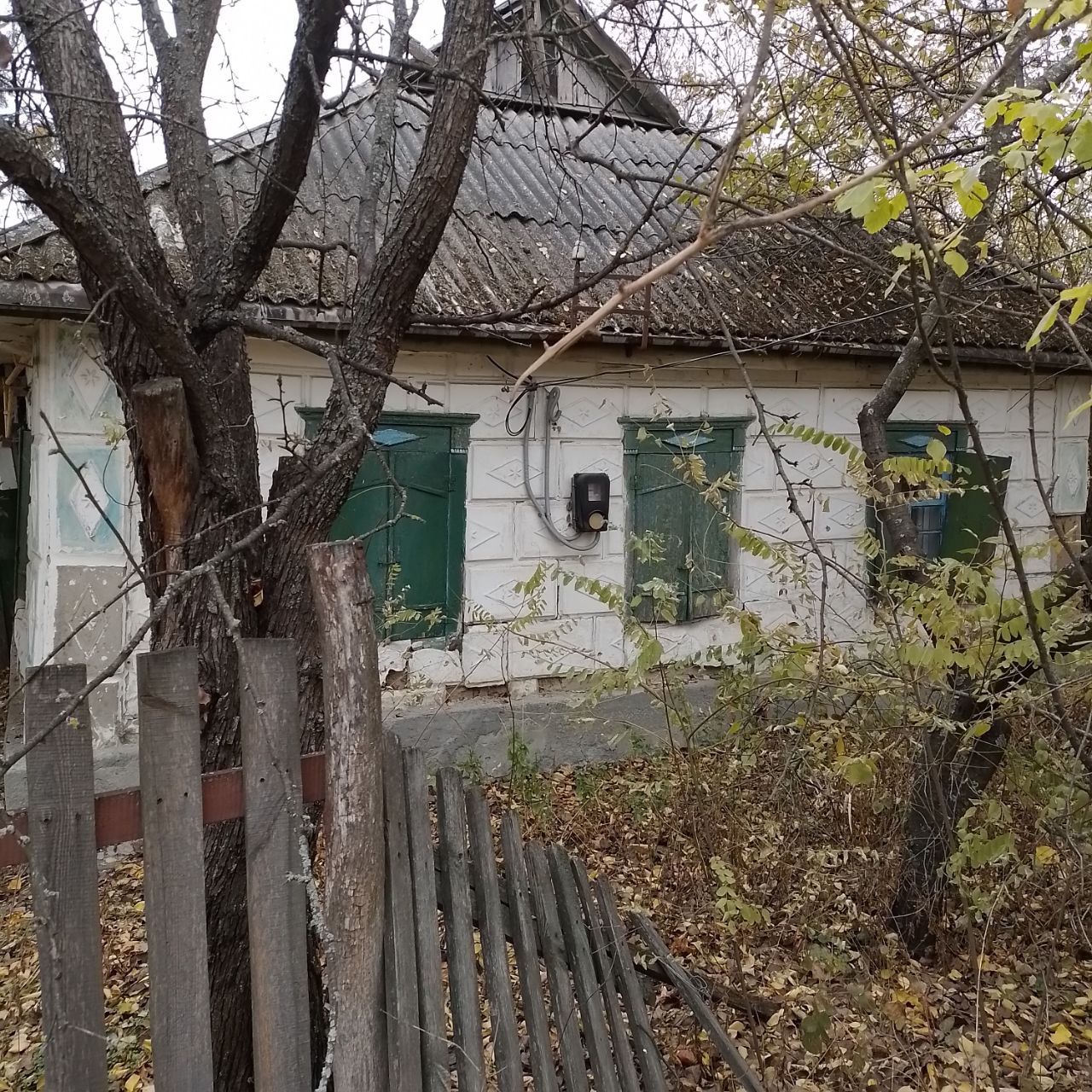 Продам участок с домом с. Васильевка