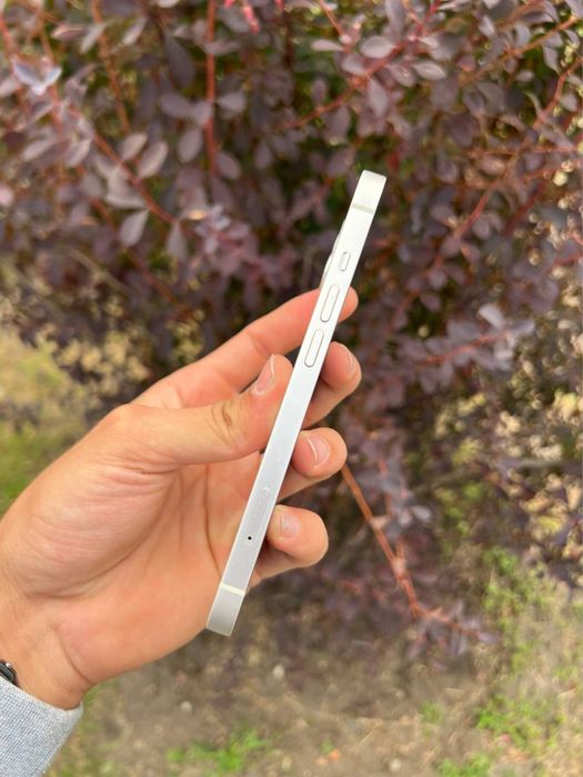 iPhone 13 128Gb 100%