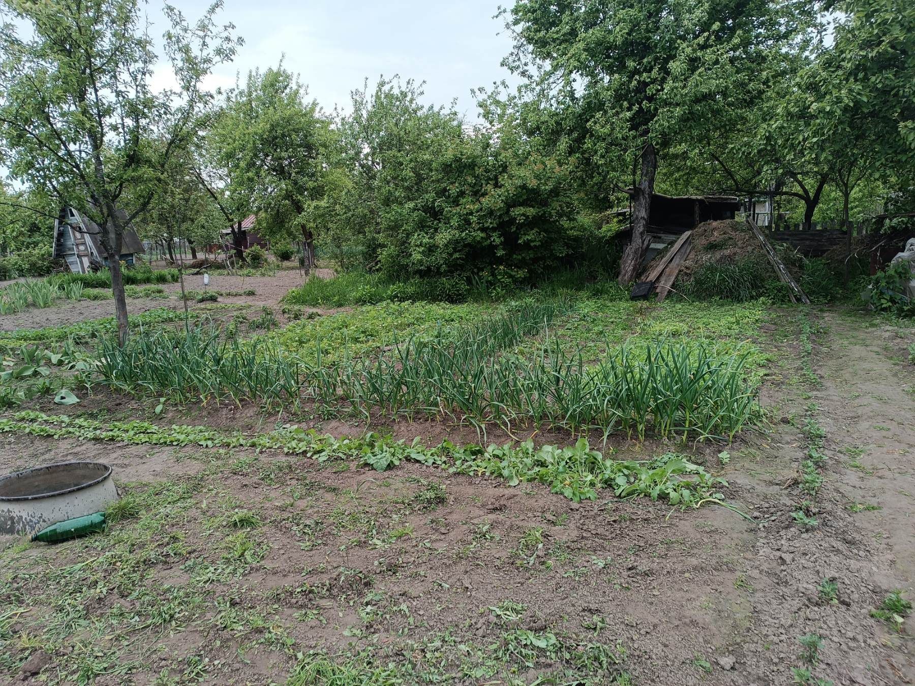 Садовий масив Мічурінець 1