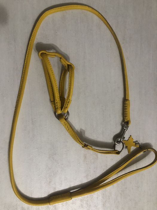 Шлейки для собак  COLLAR