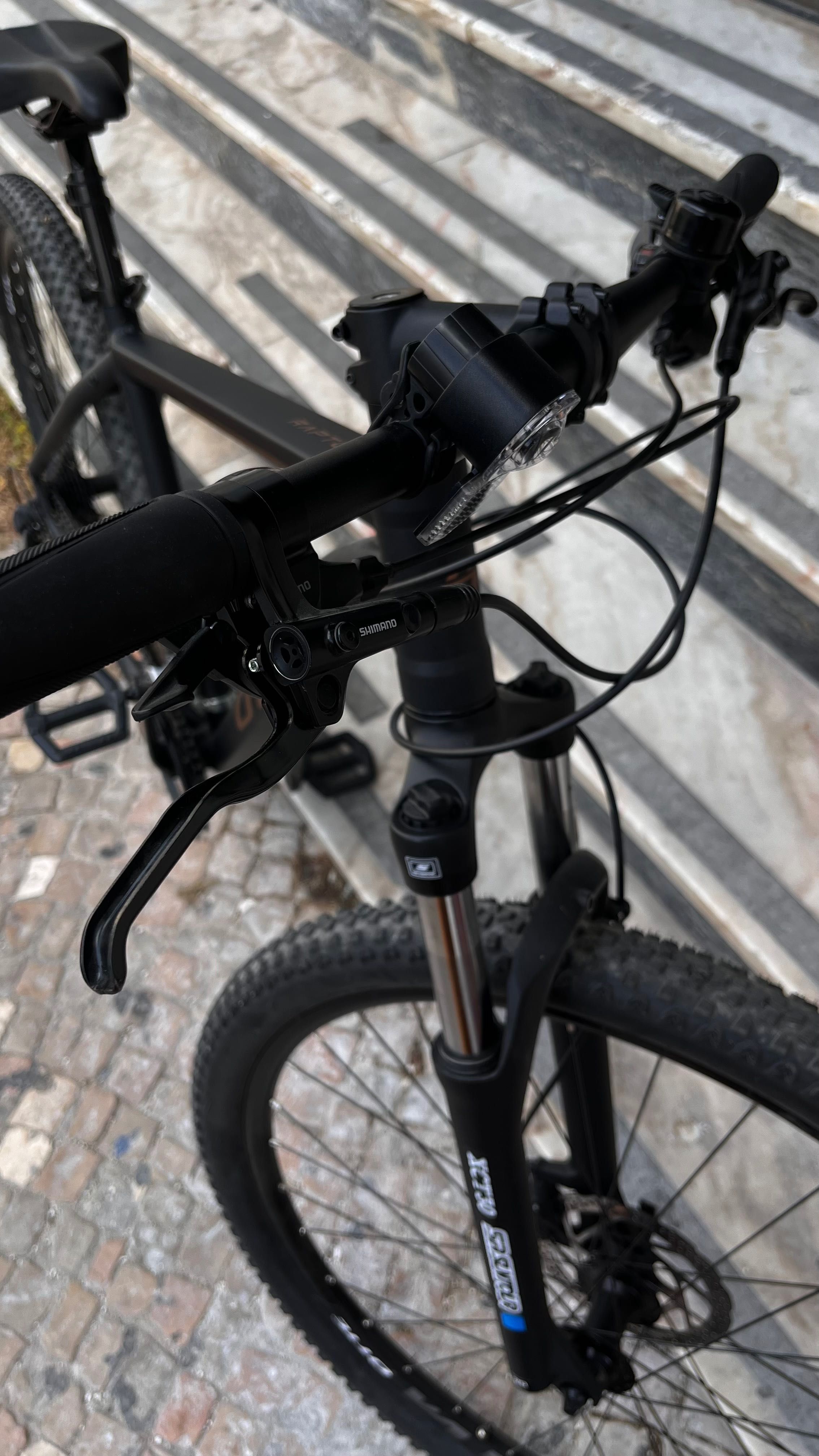 Bicicleta adulto