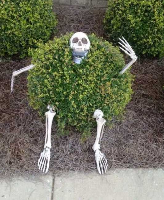 Decoração de halloween estacas de esqueleto para jardim