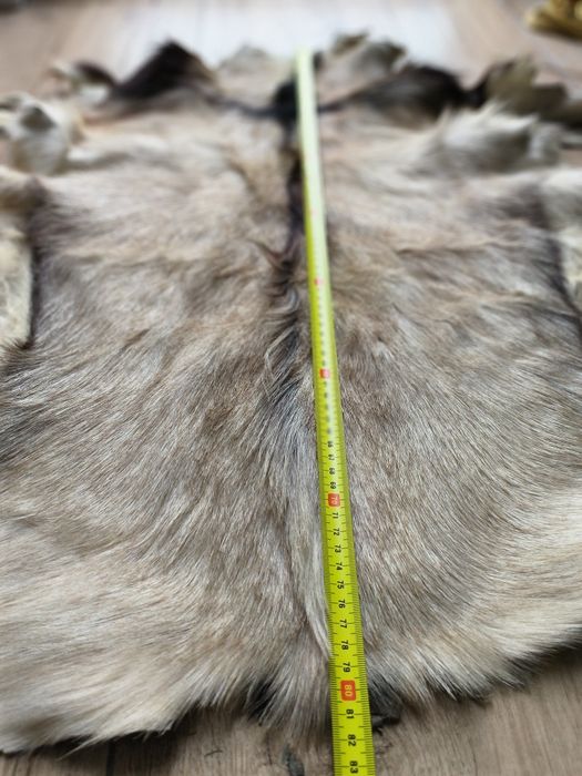 Piękna skóra kozia