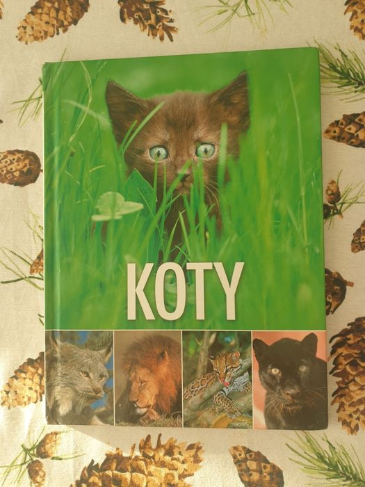 Koty książka dla dzieci