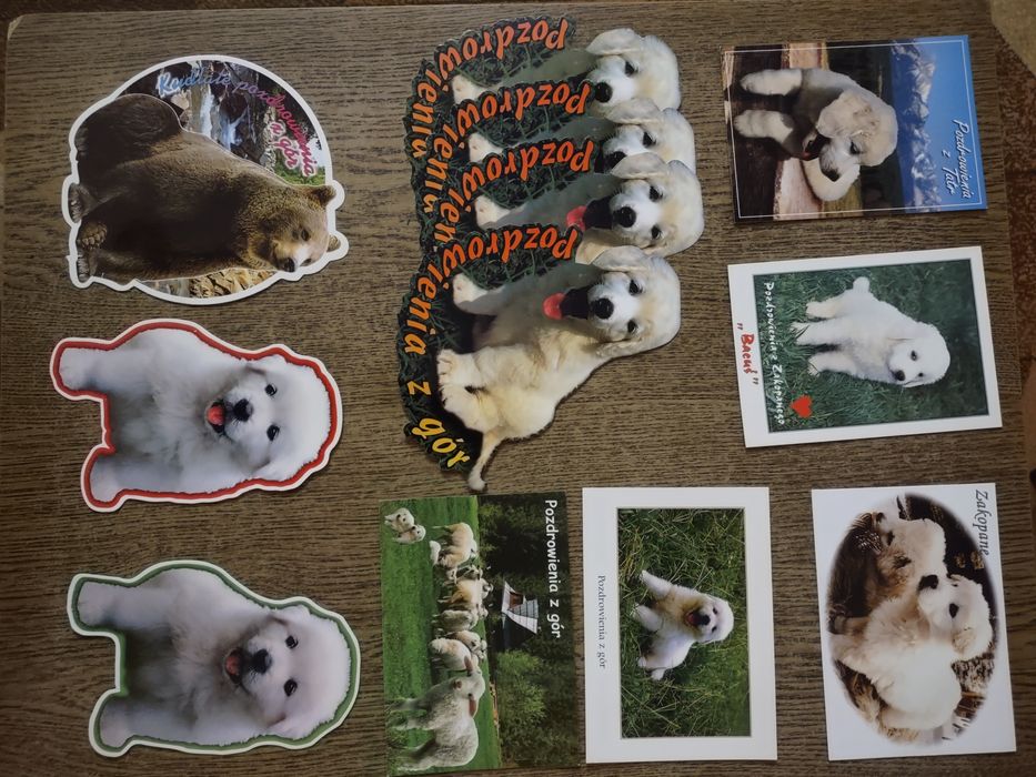 Stare pocztówki- ,,Pozdrowienia z gór,,