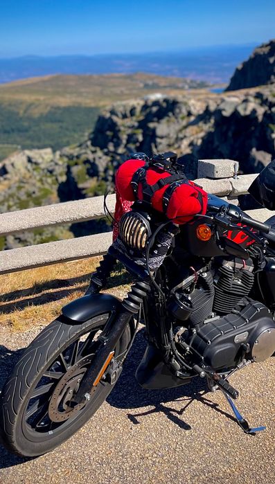 Harley-Davidson Sportster 2015 - Custom