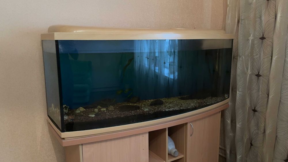 Акваріум 240л з тумбою, фільтр FLUVAL FX-5, стан хороший. Торг