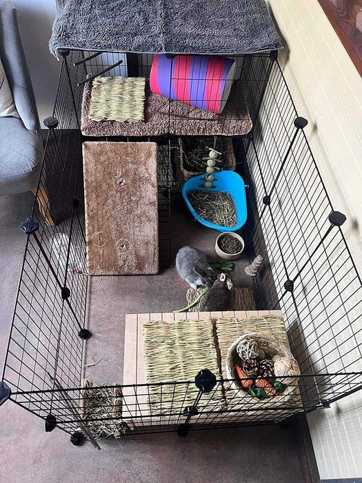 Wybieg NOWA Klatka Kojec dla KRÓLIKA Świnki Chomika PSA Modułowa DUŻA