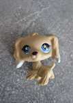 Lps pet shop spaniel