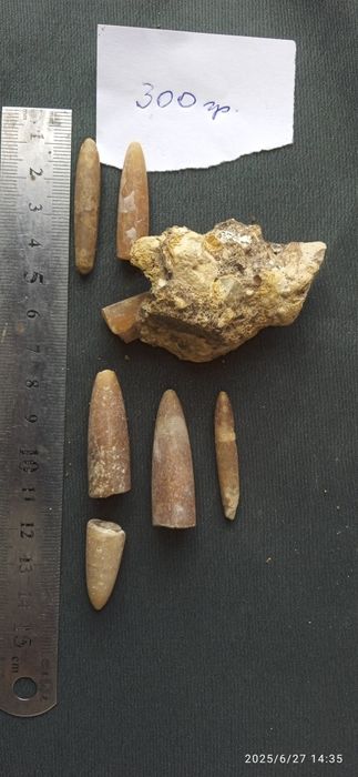 Белемнит Чертов палец зуб дракона