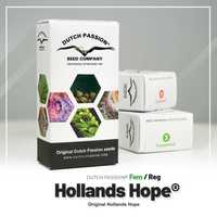 Nasiona marihuany odporne Hollands Hope / Dutch Passion 3 sztuki