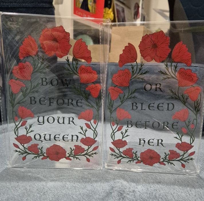 Мерч з боксів Fairyloot, Illumicrate, BookishBox