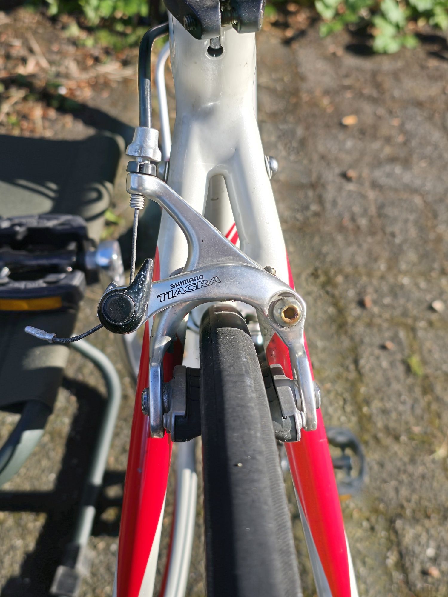 Specjalized Kolarka Aluminium Karbon