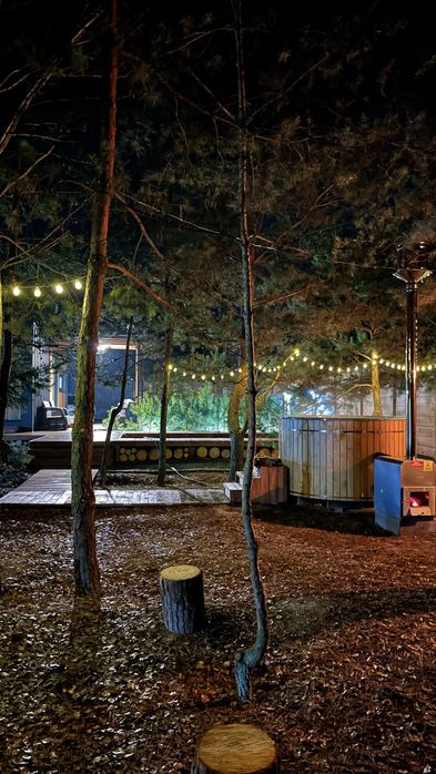 Будинок у лісі для двох. Чан • Басейн • Генератор