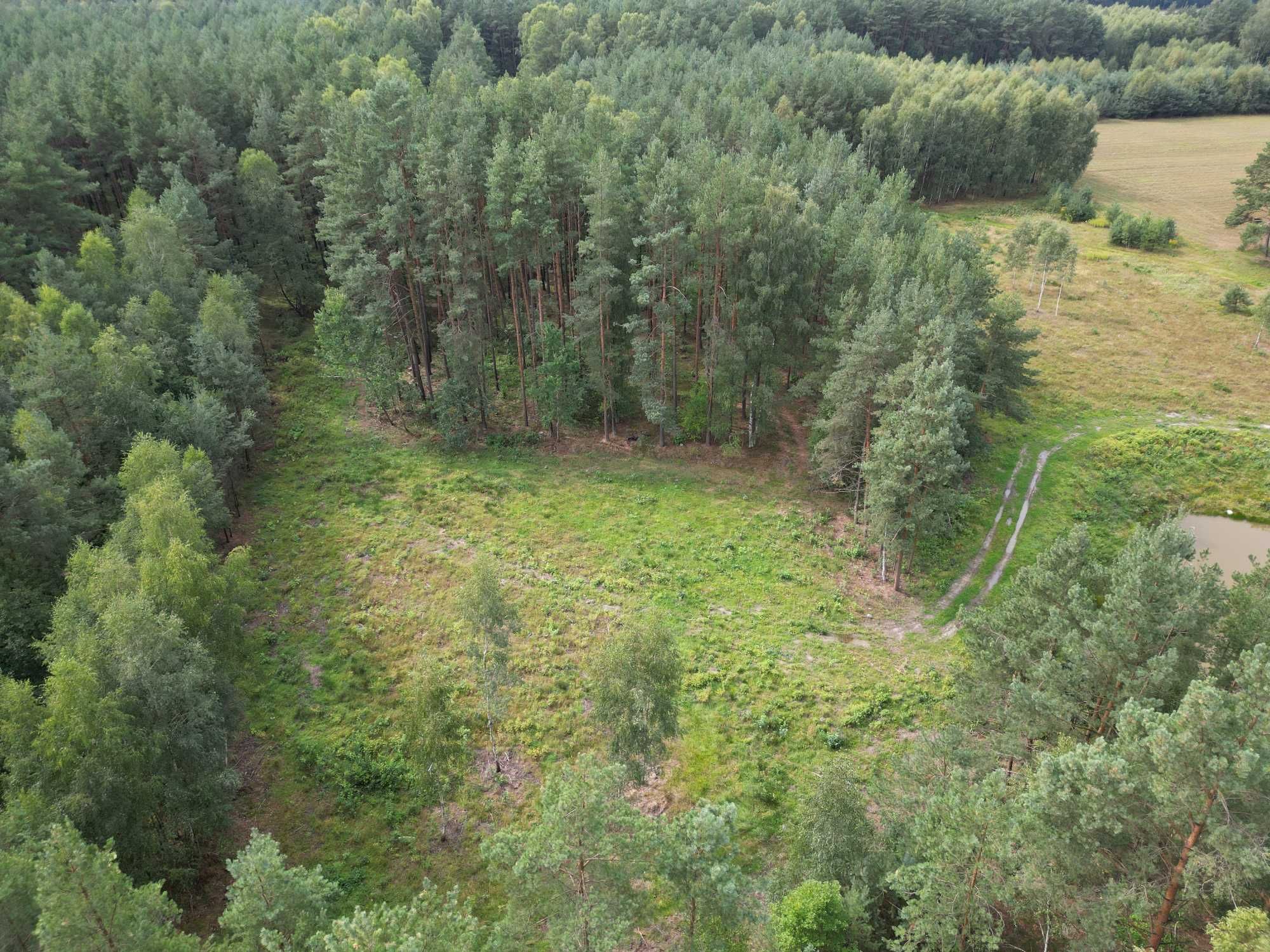 Działka Zelgoszcz Bory Tucholskie Staw Las