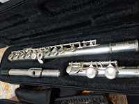 Flautas j Michael é Stagg