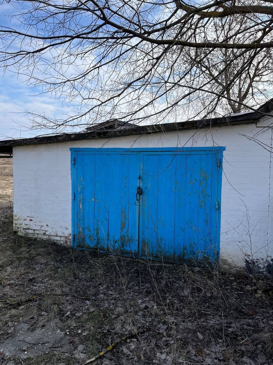 Продам будинок в селі Заріччя(Оржицький район)