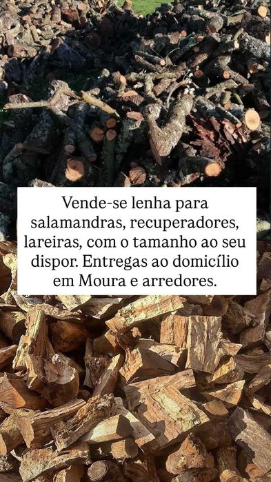 Vende se lenha pequenas e grandes quantidades
