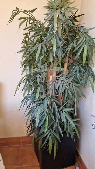 Planta artificial - Bambu - OFERTA DE VASO