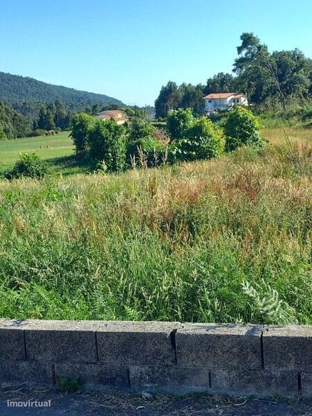 Terreno rústico com viabilidade construtiva em Escariz, Arouca