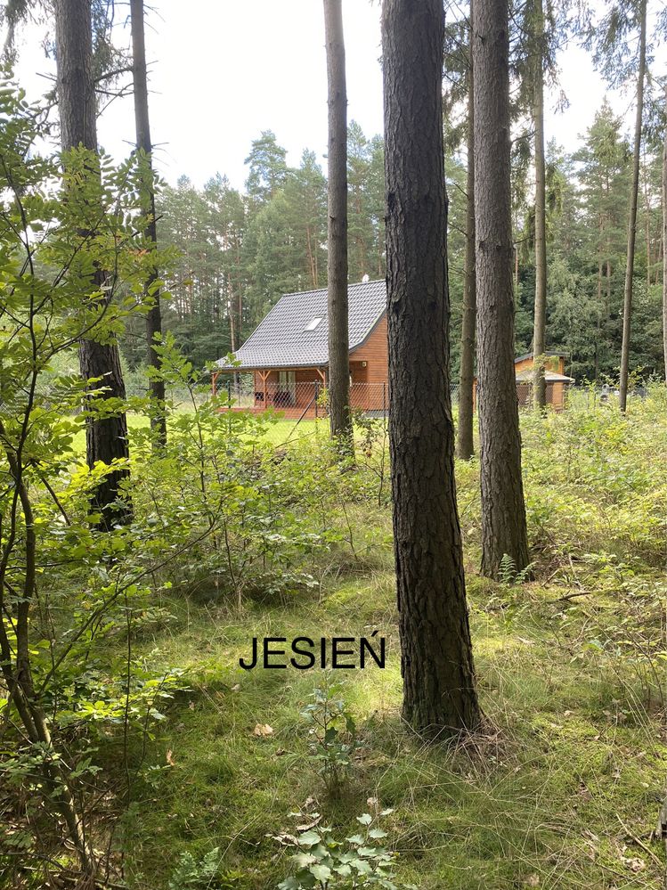 Domek całoroczny - Mazury