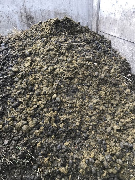 Sprzedam obornik koński workowany naturalny nawóz