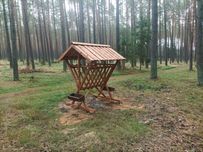 Paśnik dla saren