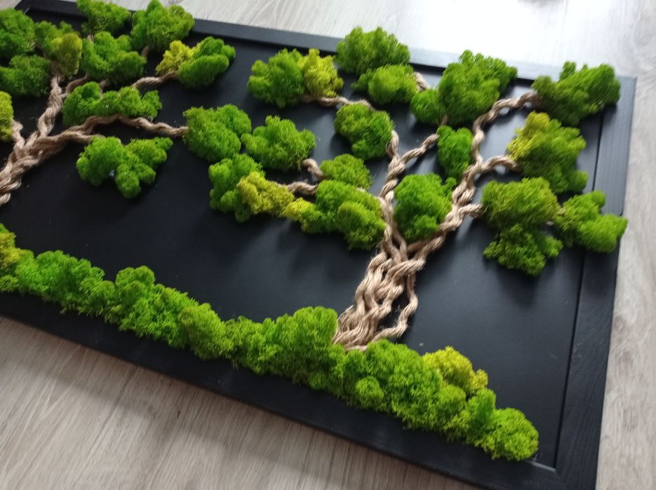 Obraz 103 x 53cm drzewa z mchu Różne rozmiary rosliny do firm biur