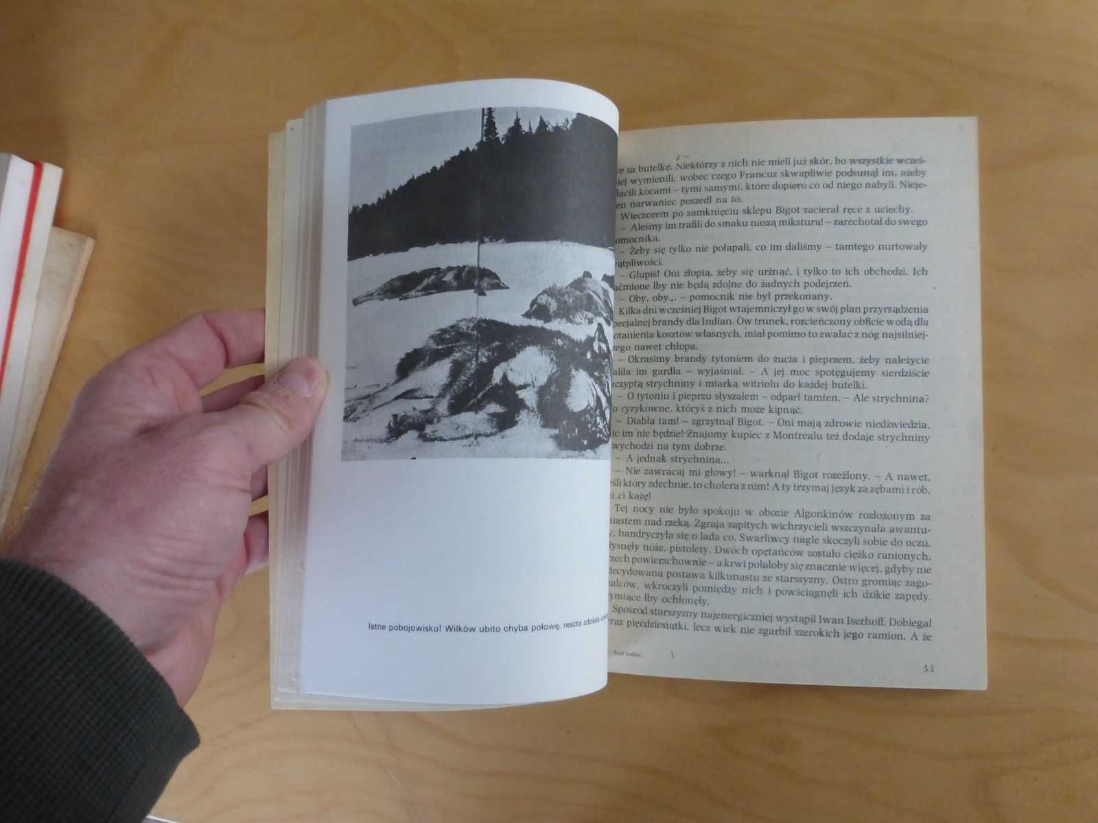 Ród indian algonkinów. Arkady Fiedler Marek Fiedler 1984